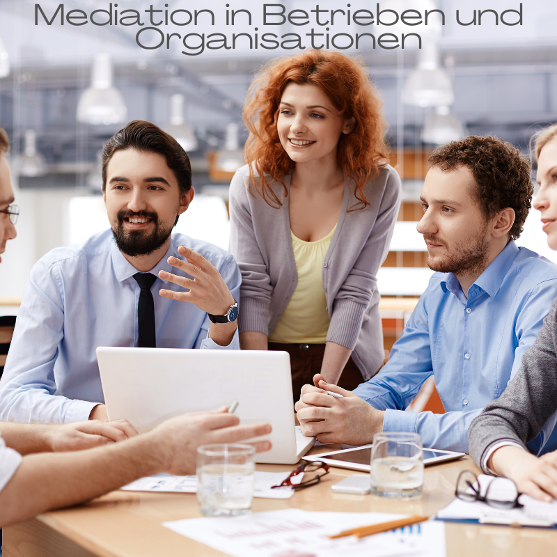 Mediation in Unternehmen – Konflikte lösen und Zusammenarbeit fördern Team in einem Meeting – Mediation für Unternehmen und Organisationen